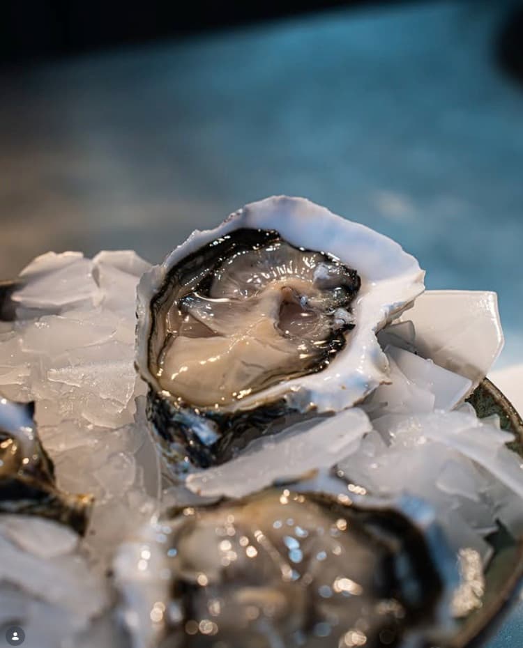 Opened Bouzigues oyster on ice